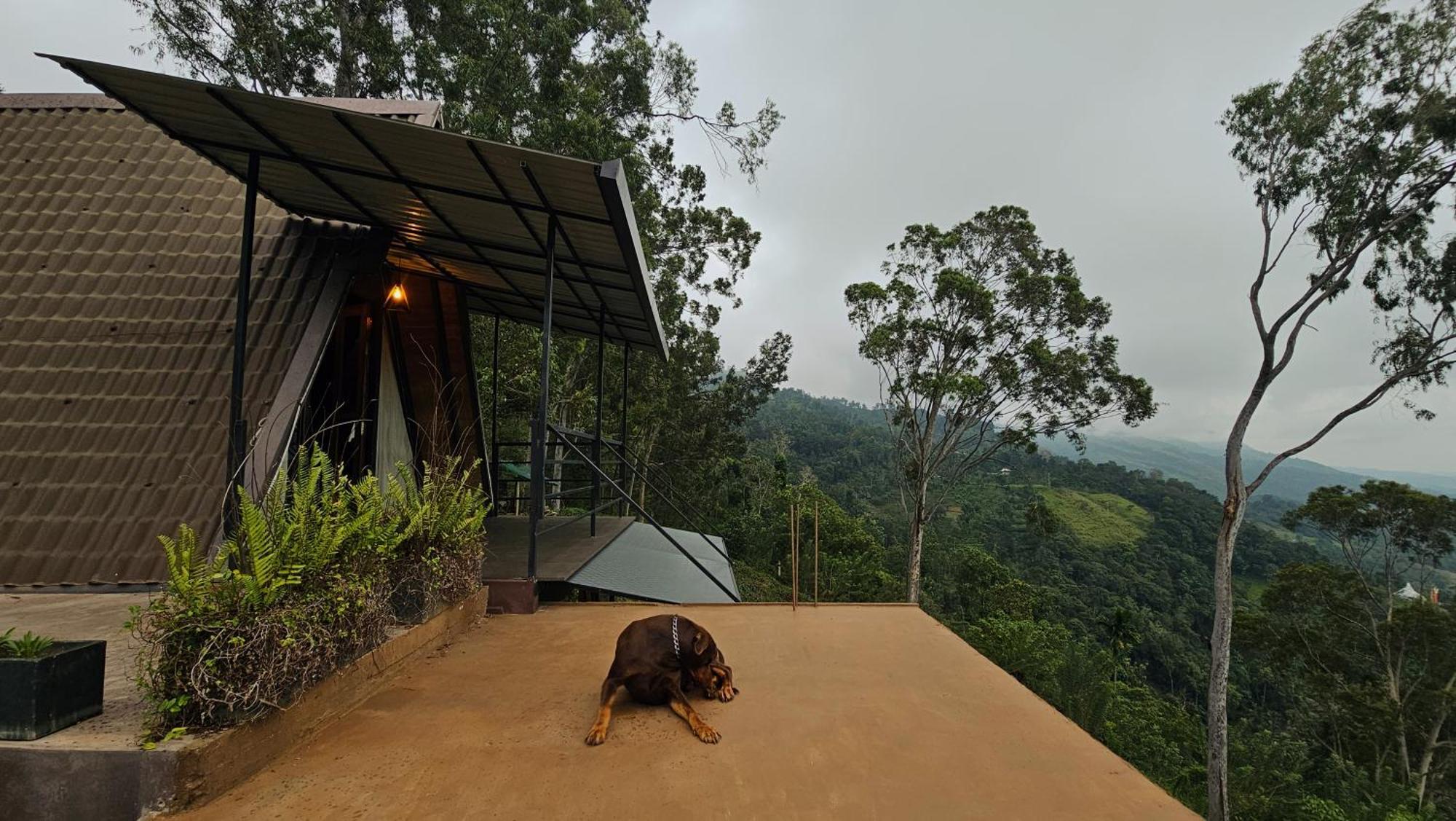 The Backyard Balangoda Exterior photo